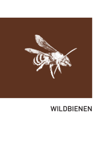 Flyer Wildbienen - Naturwerkstatt Eriwis
