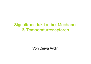 Temperaturrezeptoren Signaltransduktion bei