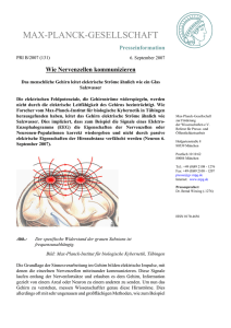 Wie Nervenzellen kommunizieren - Max-Planck