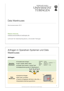 Data Warehouses Anfragen in Operativen Systemen und Data