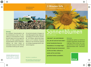 Sonnenblumen - information.medien.agrar eV