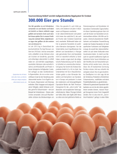 300.000 Eier pro Stunde