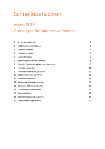 ACCESS 2016 - Grundlagen für Datenbankentwickler