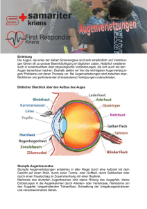 Augenverletzungen - Samariter Kriens