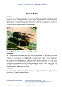 Deutsche Wespe - Verein zur Förderung ökologischer