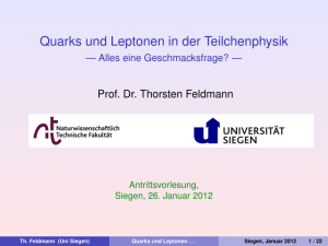 Quarks und Leptonen