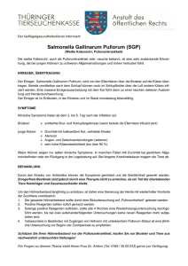 Salmonella Gallinarum Pullorum (SGP)