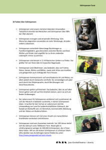 Erfahre einige Fakten über Schimpansen