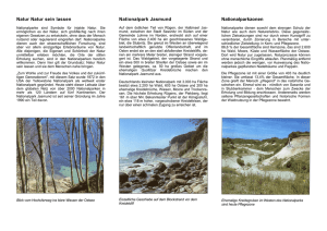 Basisfaltblatt Nationalpark Jasmund, 2002