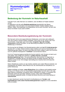 Hummelprojekt - nmseggenburg.ac.at