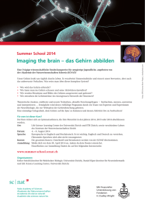 Imaging the brain – das Gehirn abbilden