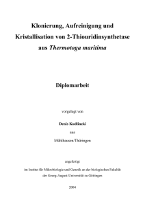 Kudlinzki Denis Diplomarbei - Institut für Mikrobiologie und Genetik