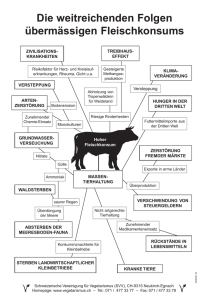 Die weitreichenden Folgen übermässigen Fleischkonsums
