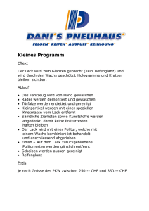 Kleines Programm - Danis Pneuhaus GmbH