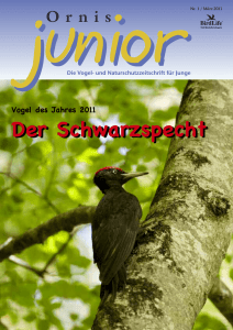 Der Schwarzspecht - BirdLife Schweiz