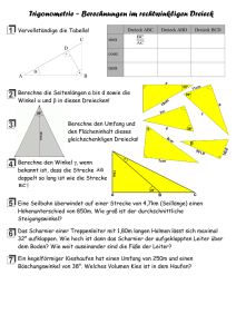 Berechnungen im rechtw. Dreieck