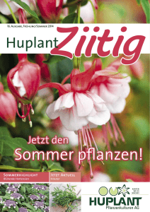 Sommer pflanzen! - Huplant Pflanzenkulturen AG