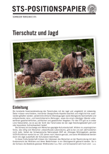 STS-POSITIONSPAPIER - Schweizer Tierschutz STS