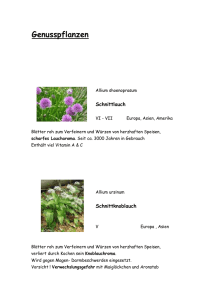 senioren_info_genusspflanzen (517,56 KiB)