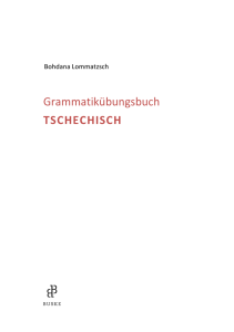 Leseprobe: Grammatikübungsbuch Tschechisch