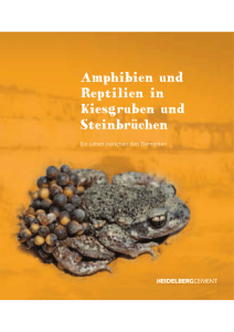 Amphibien und Reptilien in Kiesgruben und Steinbrüchen