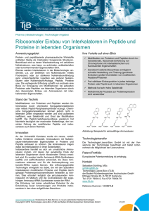 Ribosomaler Einbau von Interkalatoren in Peptide