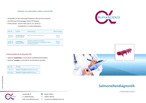 Übersicht Salmonellendiagnostik