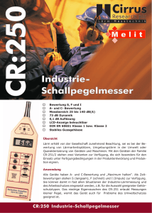 CR:250 Industrie-Schallpegelmesser