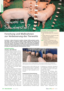 Sauwohl im Schweinestall? - information.medien.agrar eV