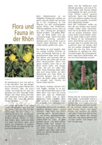 Flora und Fauna in der Rhön