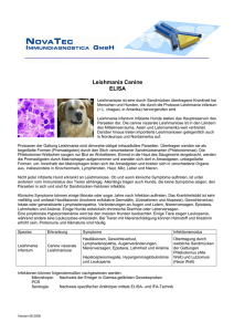 Leishmania infantum-canine-dt