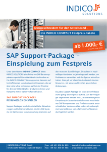 SAP Support-Package – Einspielung zum Festpreis