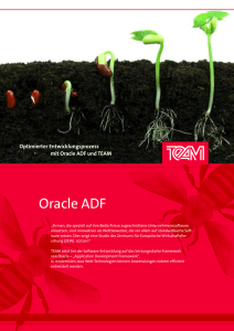Oracle ADF - TEAM GmbH