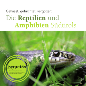 Die Reptilien und Amphibien Südtirols