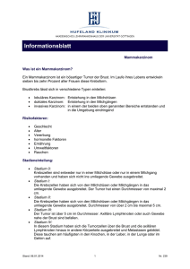 Informationsblatt - Hufeland Klinikum