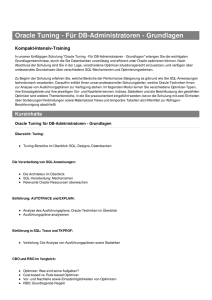 Oracle Tuning - Für DB-Administratoren - Grundlagen