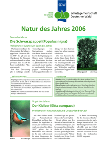 Natur des Jahres 2006 - Schutzgemeinschaft Deutscher Wald