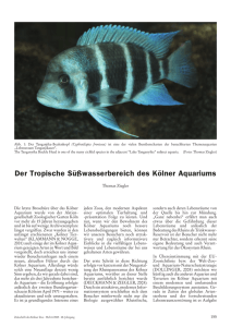 Der Tropische Süßwasserbereich des Kölner Aquariums