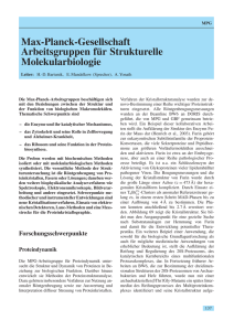 Max-Planck-Gesellschaft Arbeitsgruppen für Strukturelle