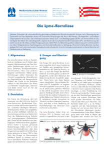 Lyme-Borreliose - Medizinisches Labor Bremen