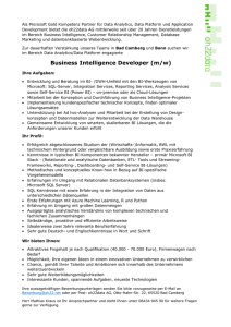 Business Intelligence Developer (m/w)