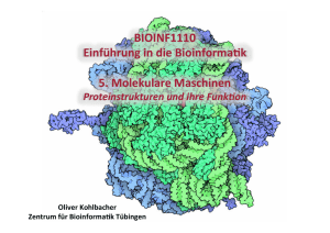 BIOINF1110 Einführung in die Bioinforma k 5. Molekulare Maschinen