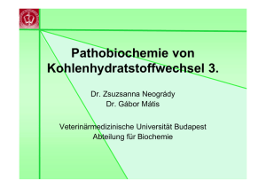 Pathobiochemie von Kohlenhydratstoffwechsel 3.
