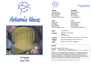 Artemia News 2013