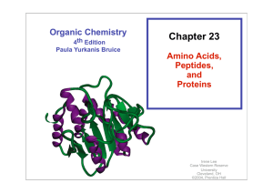 Aminosäuren, Peptide und Proteine