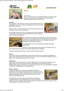 Ziesel PDF OLIs Tierlexikon