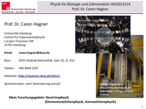 Prof. Dr. Caren Hagner