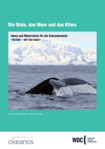 Die Wale, das Meer und das Klima