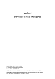 Handbuch orgAnice Business Intelligence