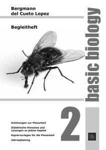 Begleitheft - Leykam Schulbuch